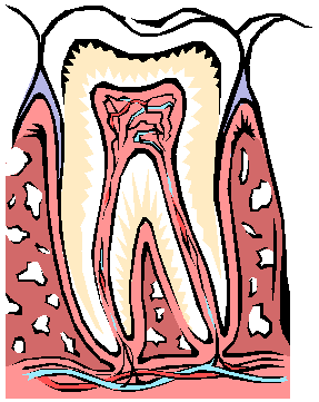 failed root canal treatment